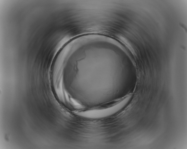 X0000097471291200803141905