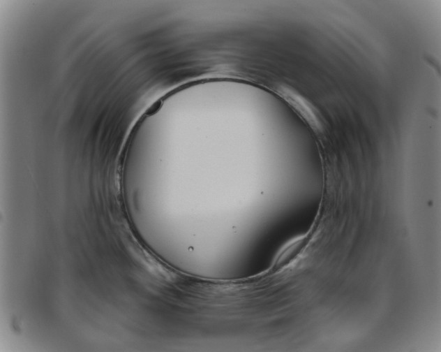 X0000097471292200803141905