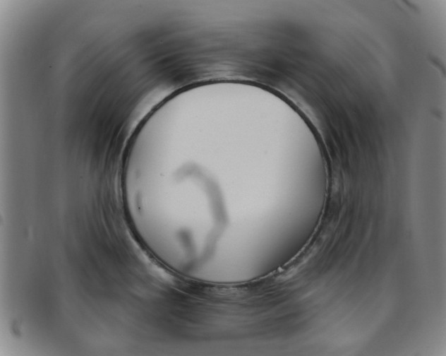 X0000097471293200803141905