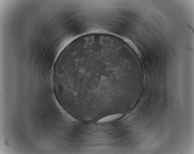 X0000097471295200803141905
