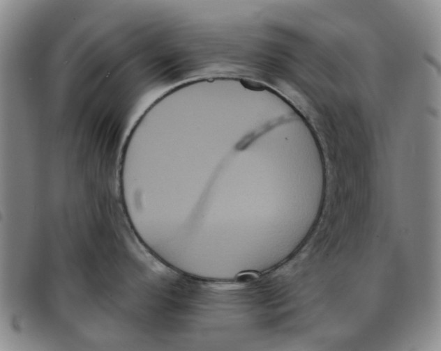 X0000097471296200803141905