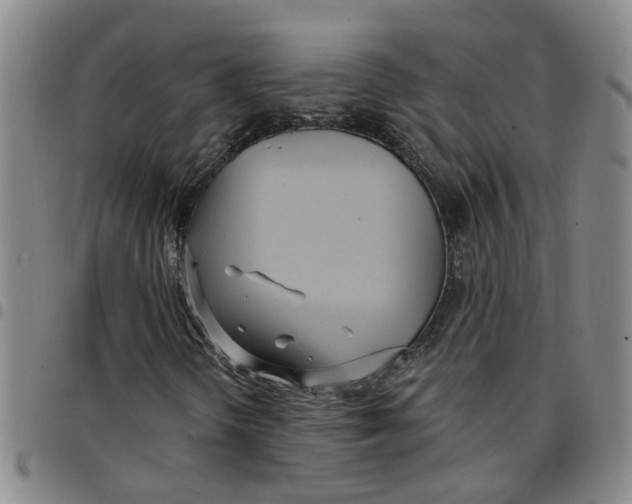 X0000097471298200803141904