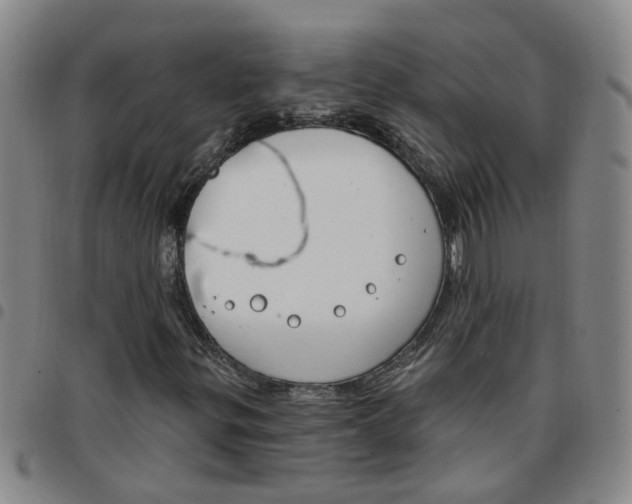 X0000097471299200803141904