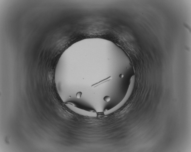 X0000097471300200803141904