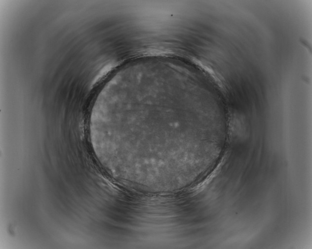 X0000097471306200803141904