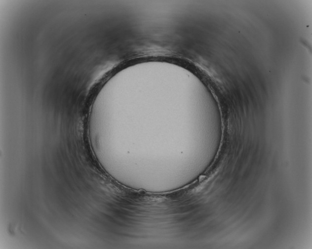 X0000097471309200803141904