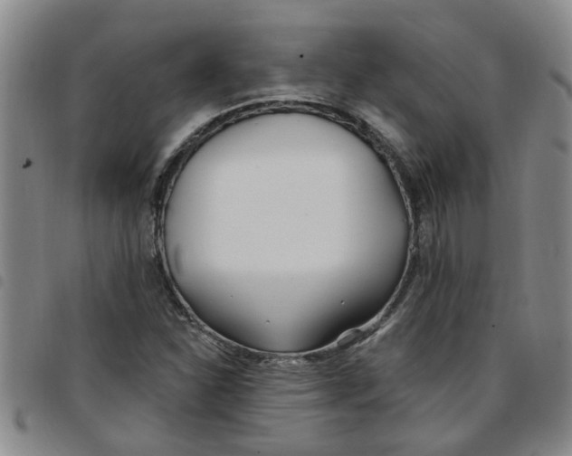 X0000097471310200803141904
