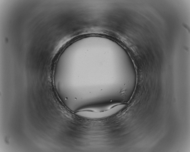 X0000097471312200803141904