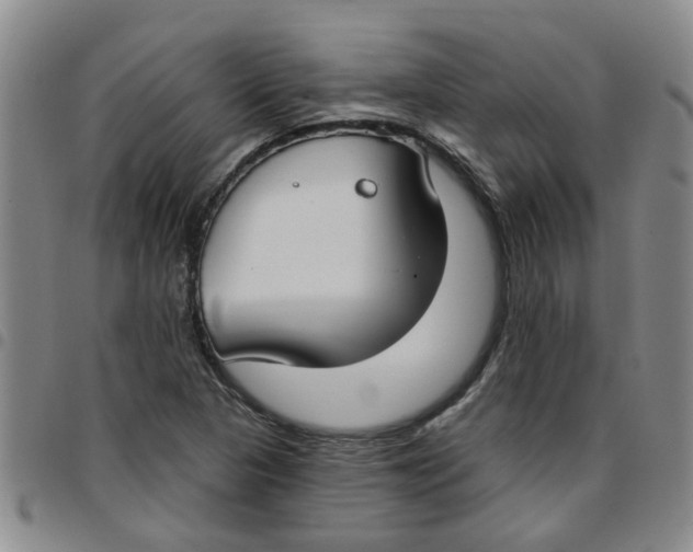 X0000097471313200803141905