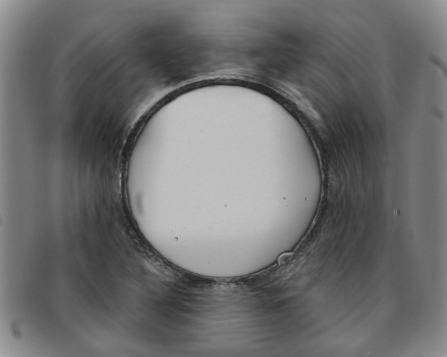 X0000097471316200803141905