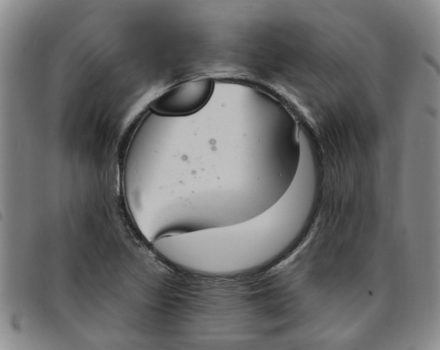 X0000097471317200803141905