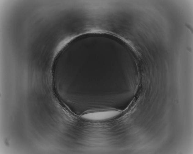 X0000097471319200803141905
