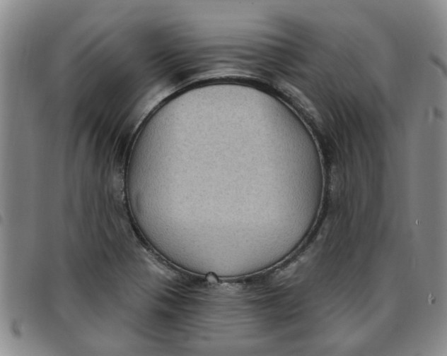 X0000097471321200803141905
