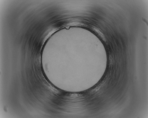 X0000097471322200803141905