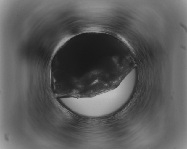 X0000097471323200803141905