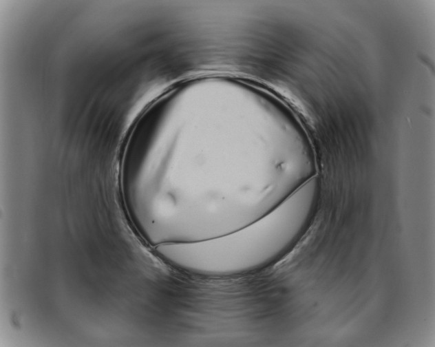 X0000097471325200803141905