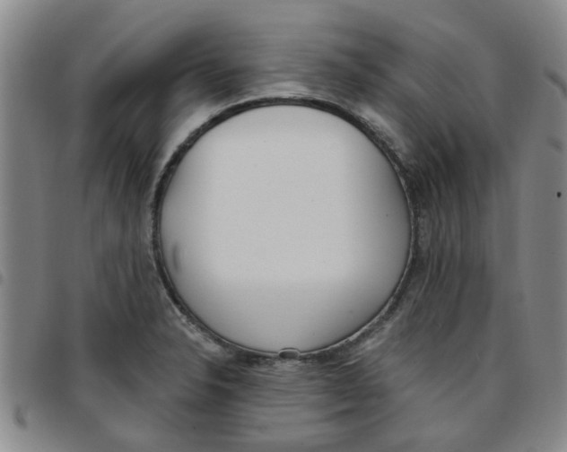 X0000097471326200803141905