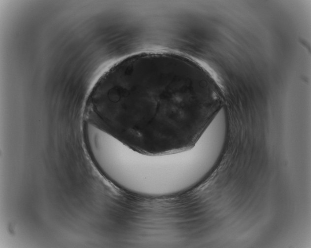 X0000097471327200803141905