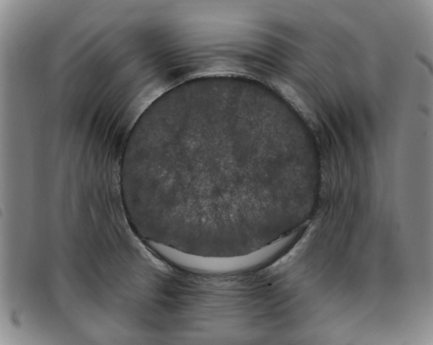 X0000097471329200803141905