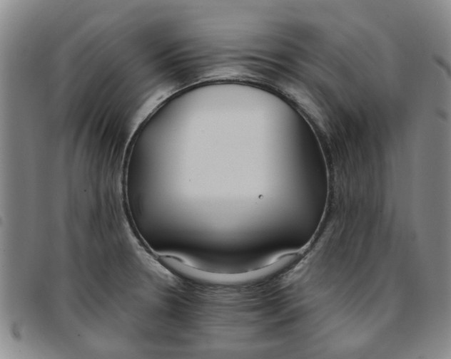 X0000097471330200803141905