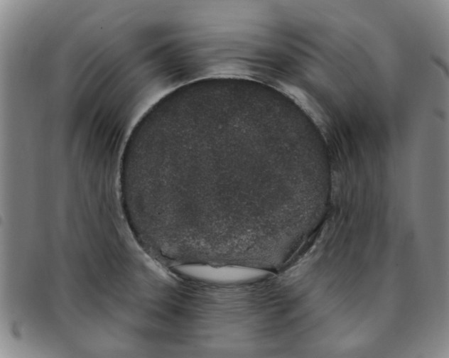 X0000097471331200803141905