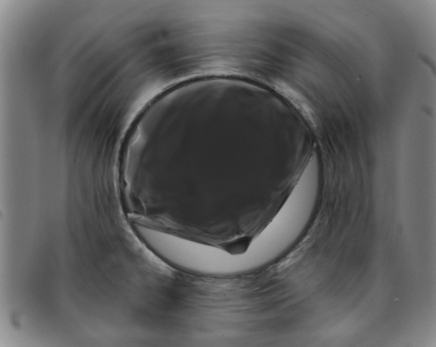 X0000097471334200803141905