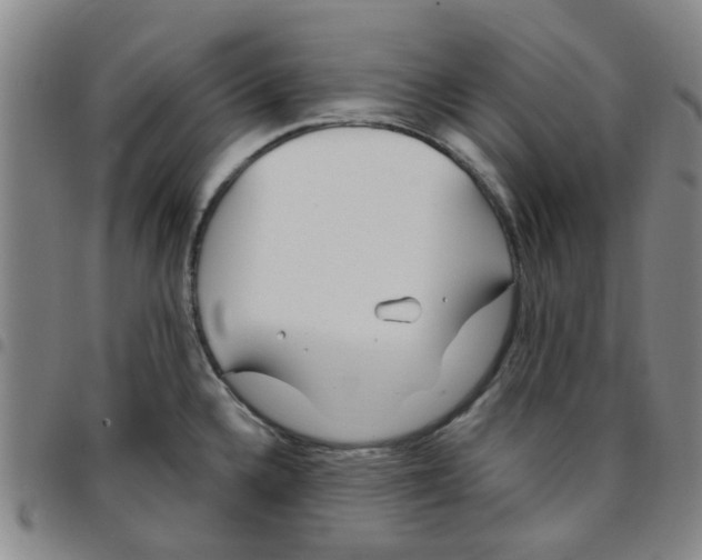 X0000097471336200803141905