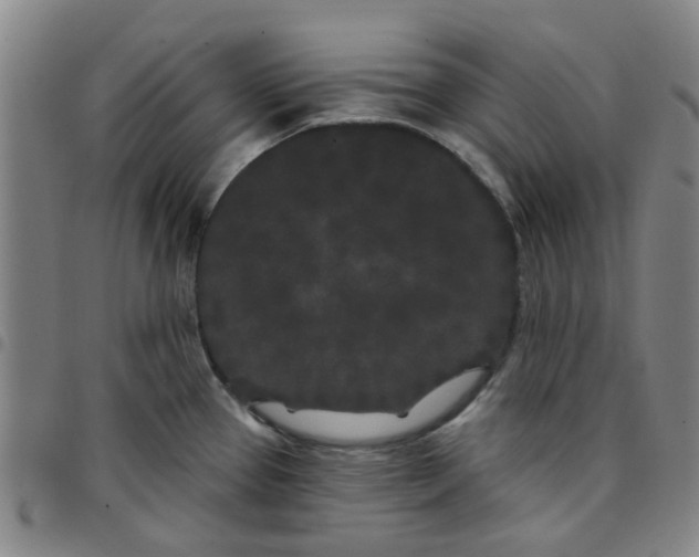 X0000097471337200803141905