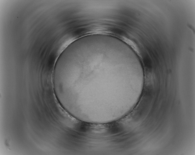 X0000097471338200803141905