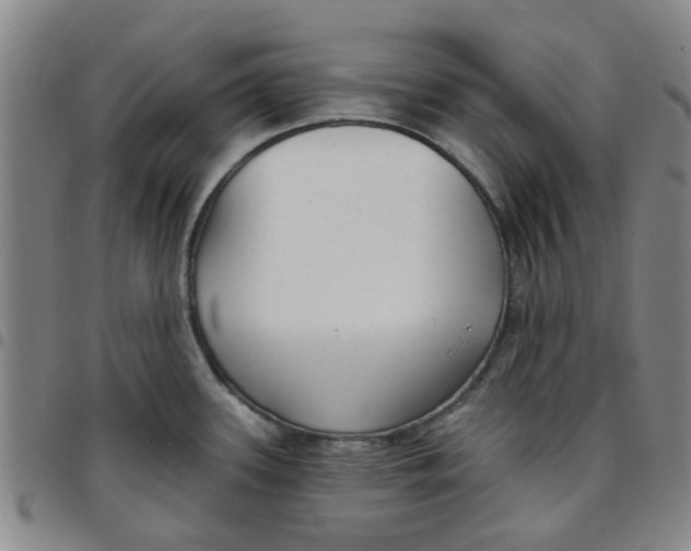 X0000097471339200803141905
