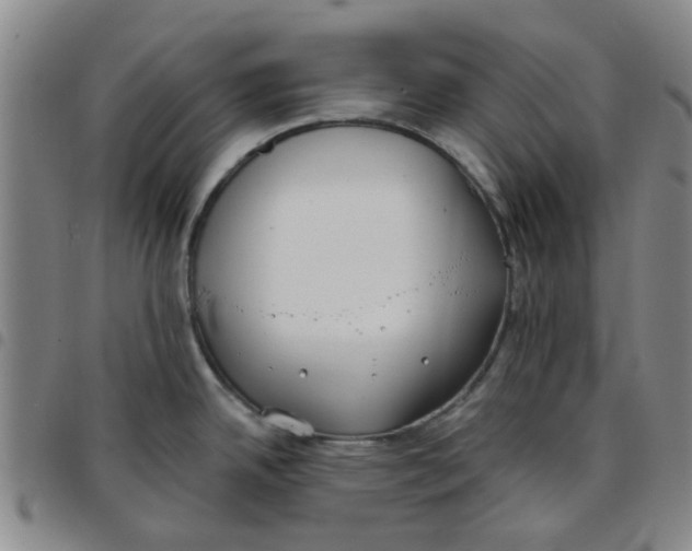 X0000097471342200803141905