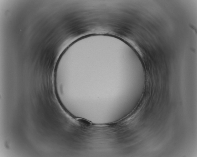 X0000097471343200803141905