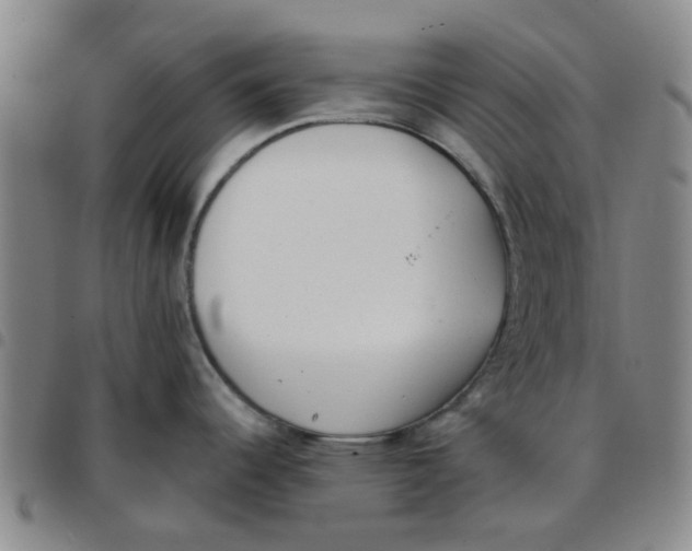 X0000097471344200803141905