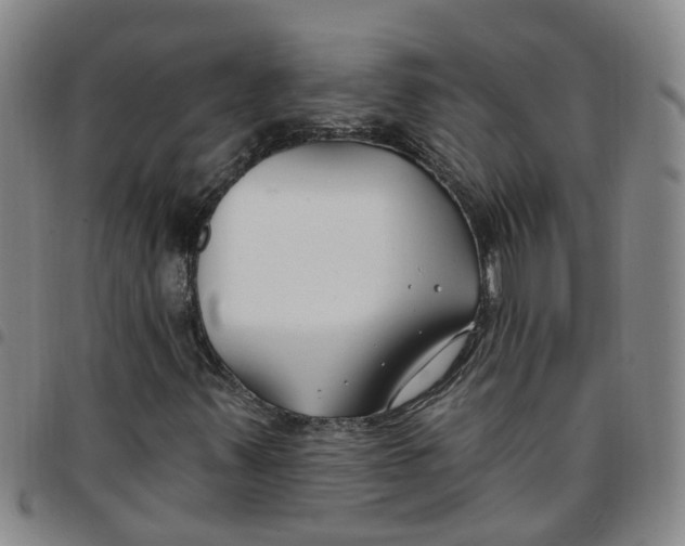 X0000097471347200803141904