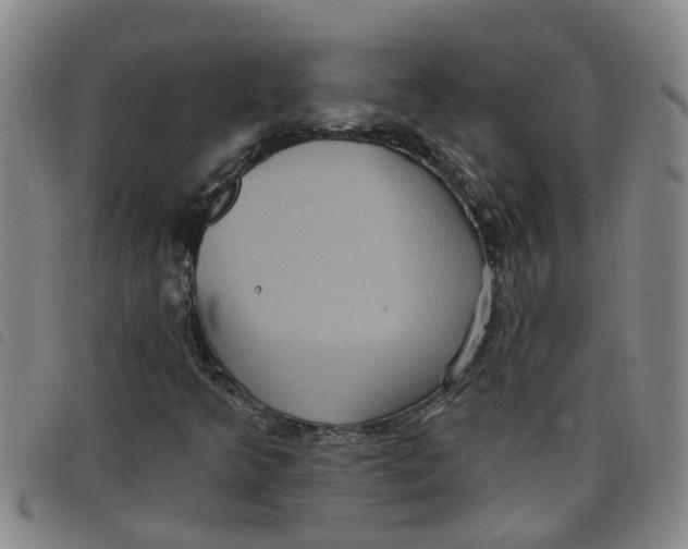 X0000097471349200803141904