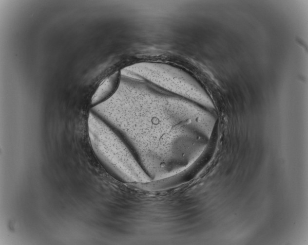 X0000097471350200803141904