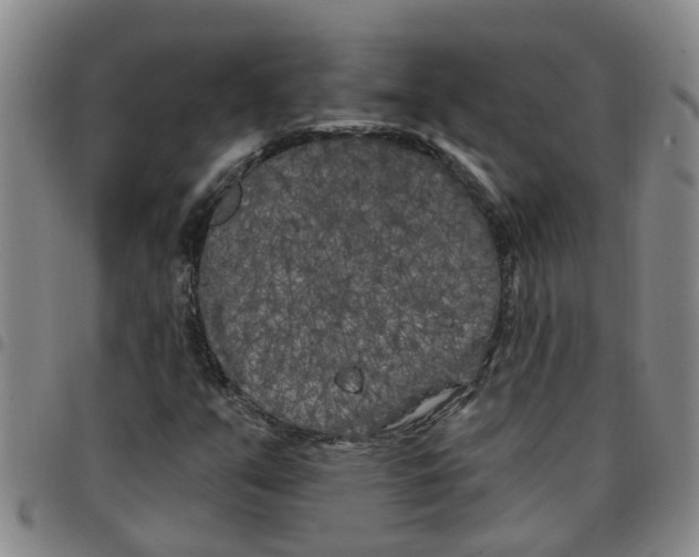 X0000097471351200803141904