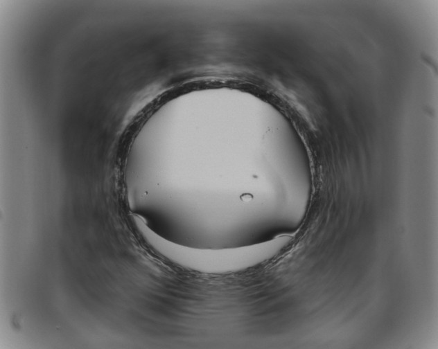 X0000097471352200803141904