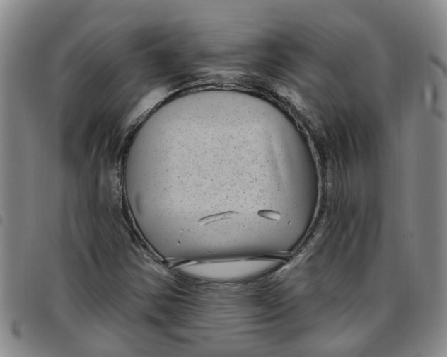 X0000097471354200803141904