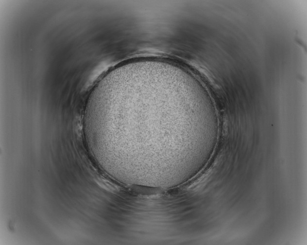 X0000097471355200803141904