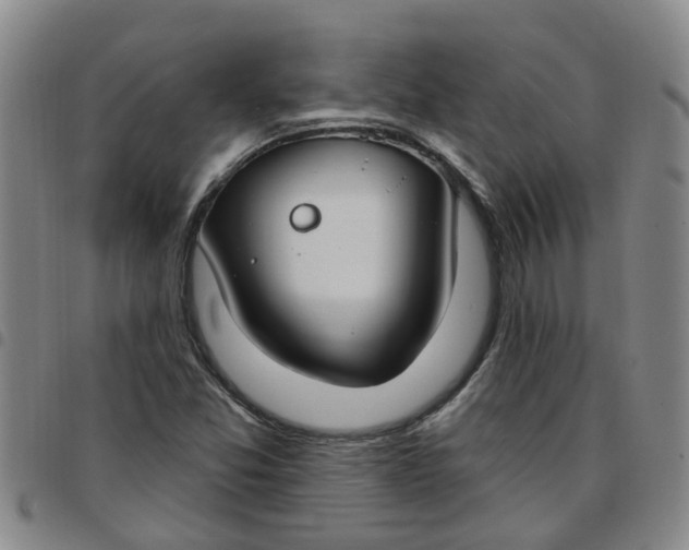 X0000097471357200803141904