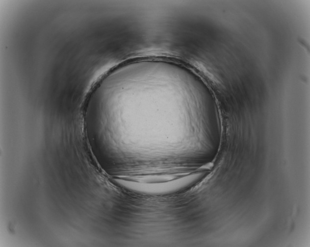 X0000097471358200803141904