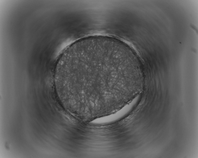 X0000097471359200803141904