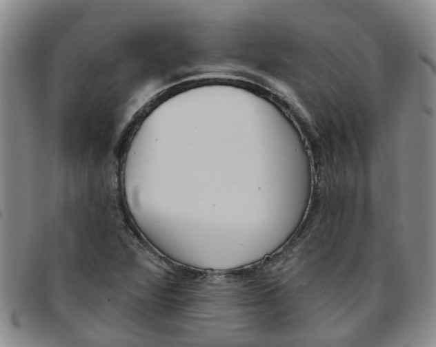 X0000097471360200803141904