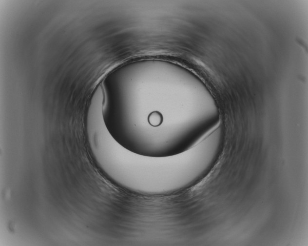 X0000097471361200803141904