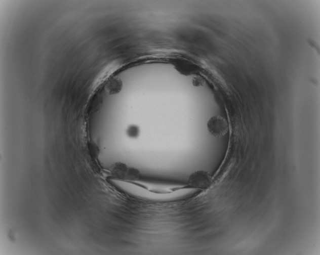 X0000097471362200803141904