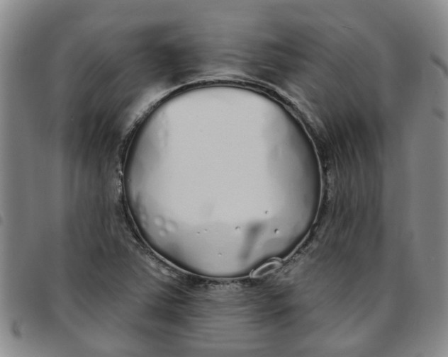 X0000097471363200803141904