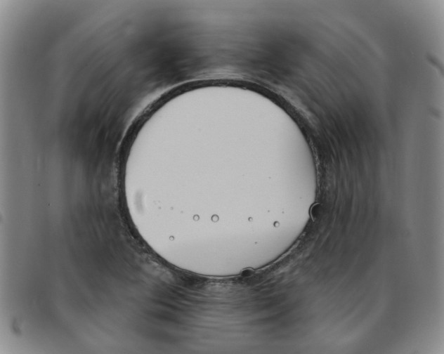 X0000097471364200803141904