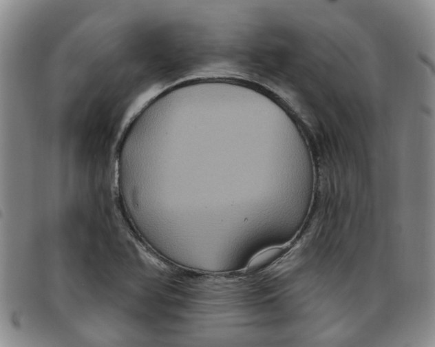 X0000097471366200803141904