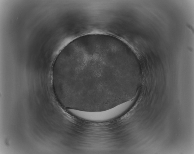 X0000097471367200803141904